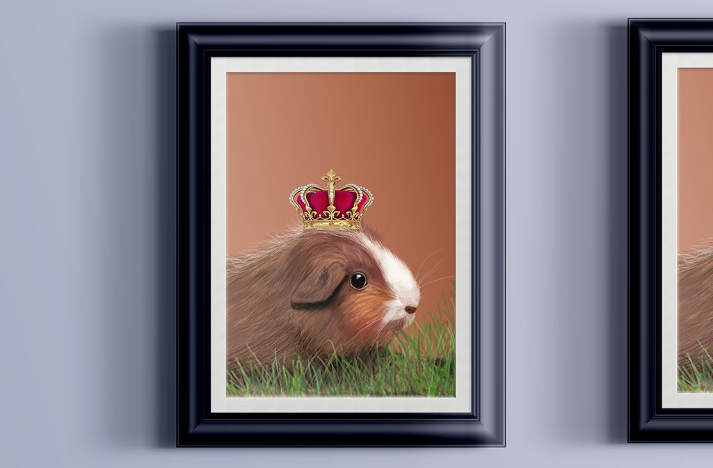 Guinea Pig